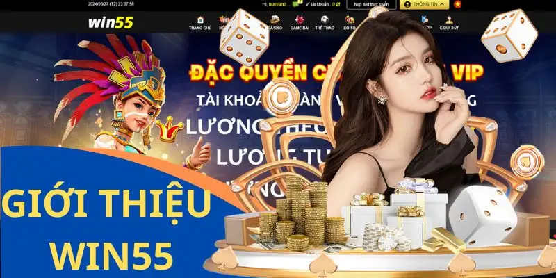Giới thiệu Win55 chắc chắn phải nói tới Casino sôi động
